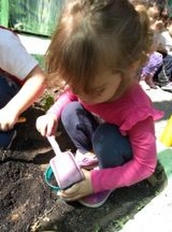 Berçário e Creche Jardim Santo Antônio - Jardim Escola 1 Ano