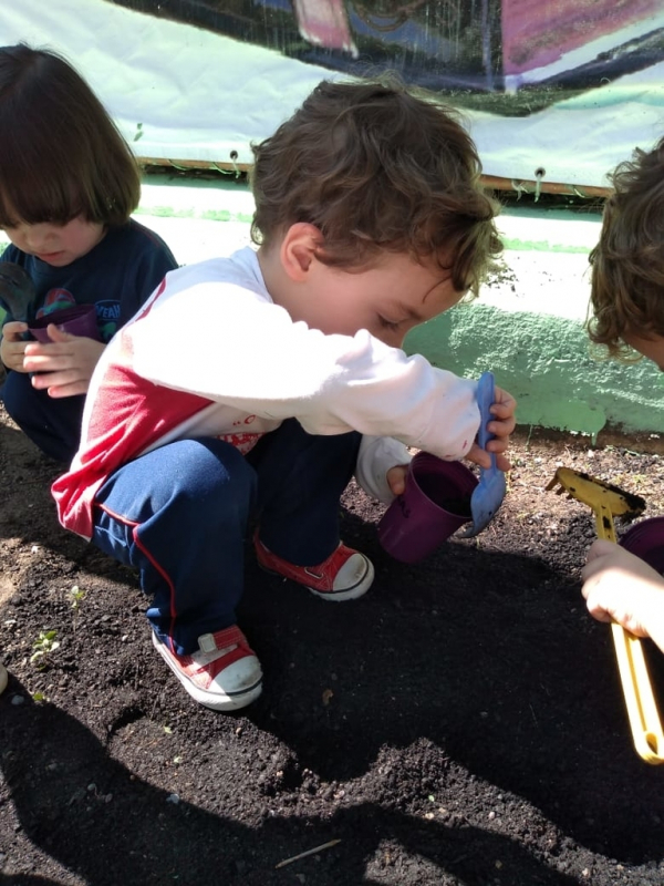 Creche Escola Super Quadra Morumbi - Colégio Infantil Educandário