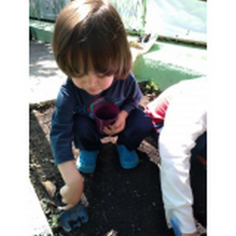 Educação Infantil 4 Anos Santo Amaro Jardim Rutinha - Educação Infantil G4