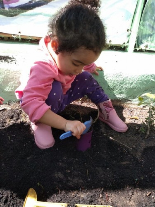 Educação Infantil G5 Chácara Santo Antônio Vila Aeroporto - Educação Infantil Idade