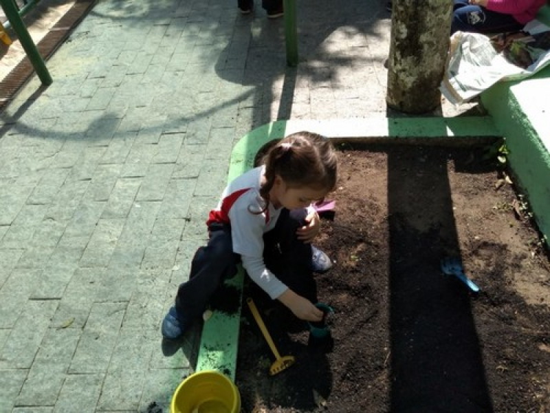Onde Encontrar Educação Infantil G2 Santo Amaro Chácara Flora - Educação Infantil 4 Anos